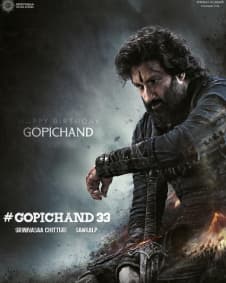 గోపిచంద్ మూవీ బడ్జెట్ విన్నారంటే షాక్ అవుతారు!