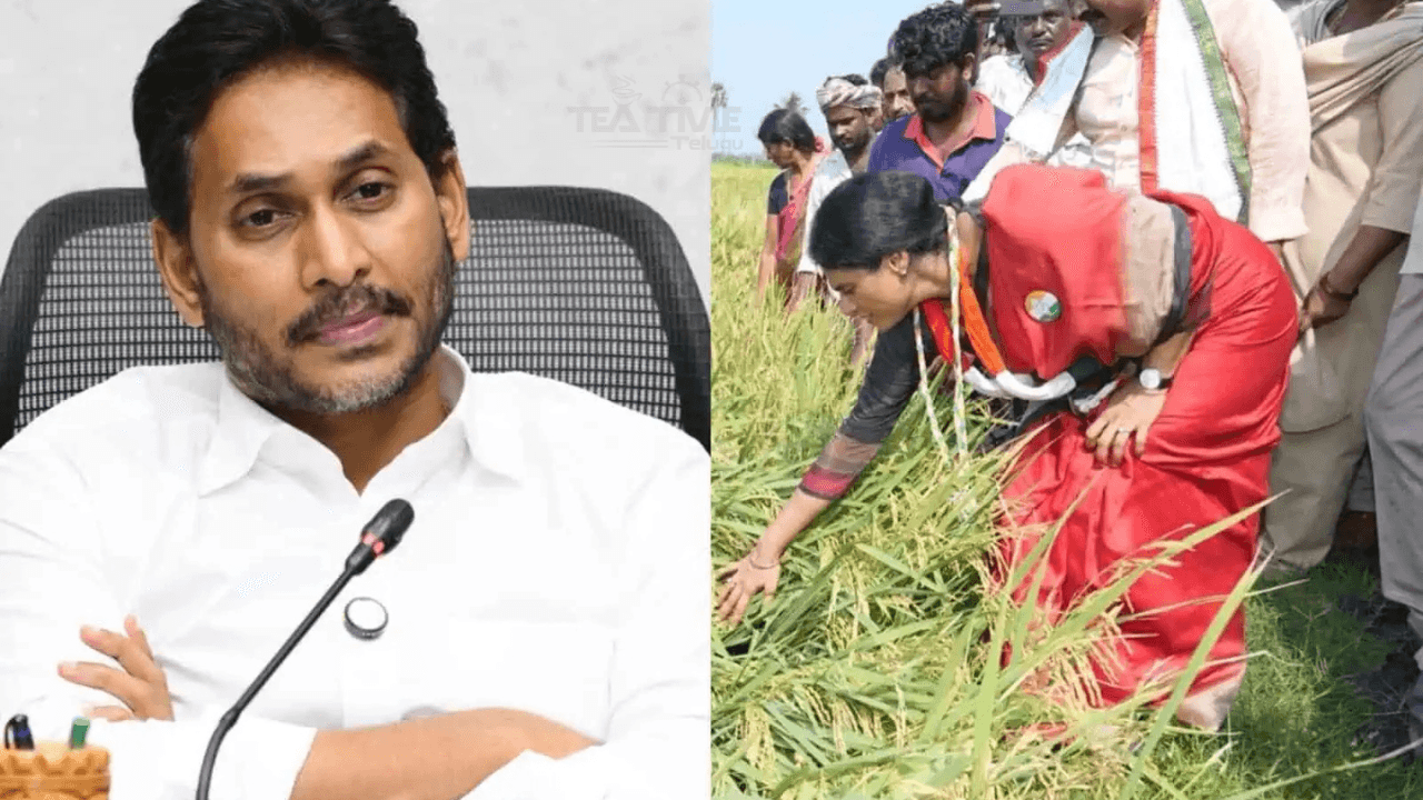 మొంథా తుఫాన్: జగన్ చేయని పని షర్మిల చేసింది