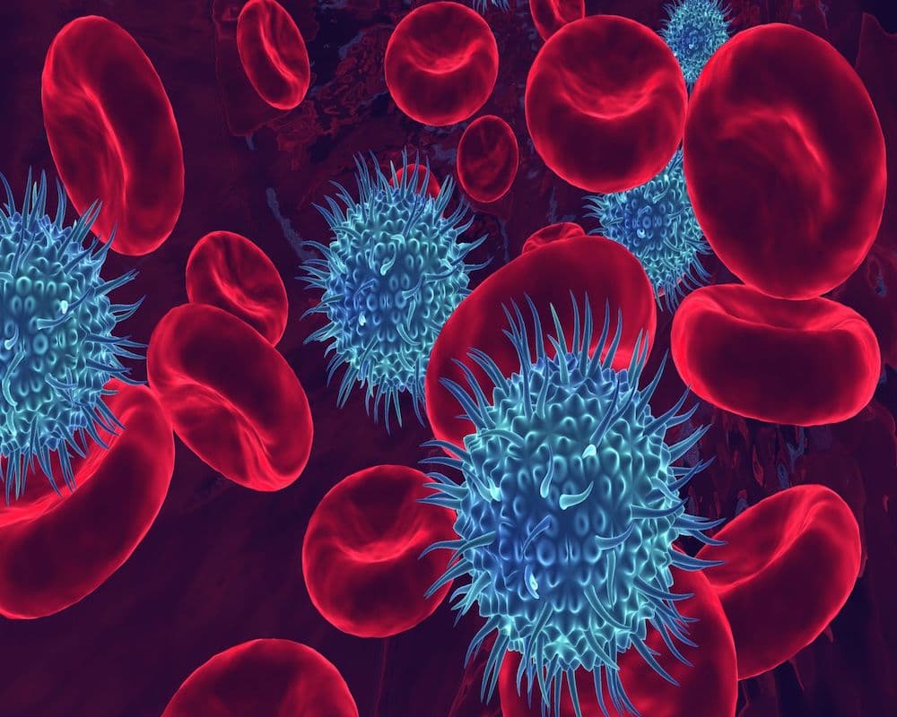 వామ్మో! వేగంగా పెరుగుతున్న బ్లడ్ ఇన్ఫెక్షన్ కేసులు – అసలు కారణాలు ఇవే!