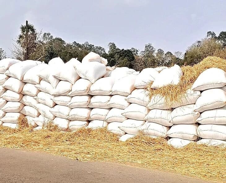 బీహార్ ఎన్నికల ప్రభావం.. తెలంగాణ రైతులకు హమాలీల కొరత!