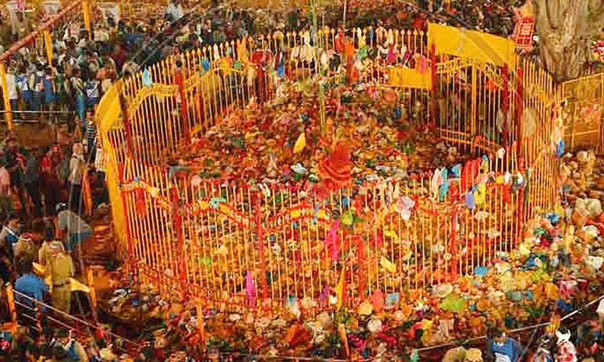 ఆదివాసీ సంప్రదాయాలతో మేడారంలో గద్దెల పునఃప్రతిష్టాపన కార్యక్రమం