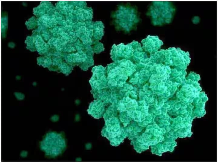 చైనా లో వైరస్ కలకలం.. 