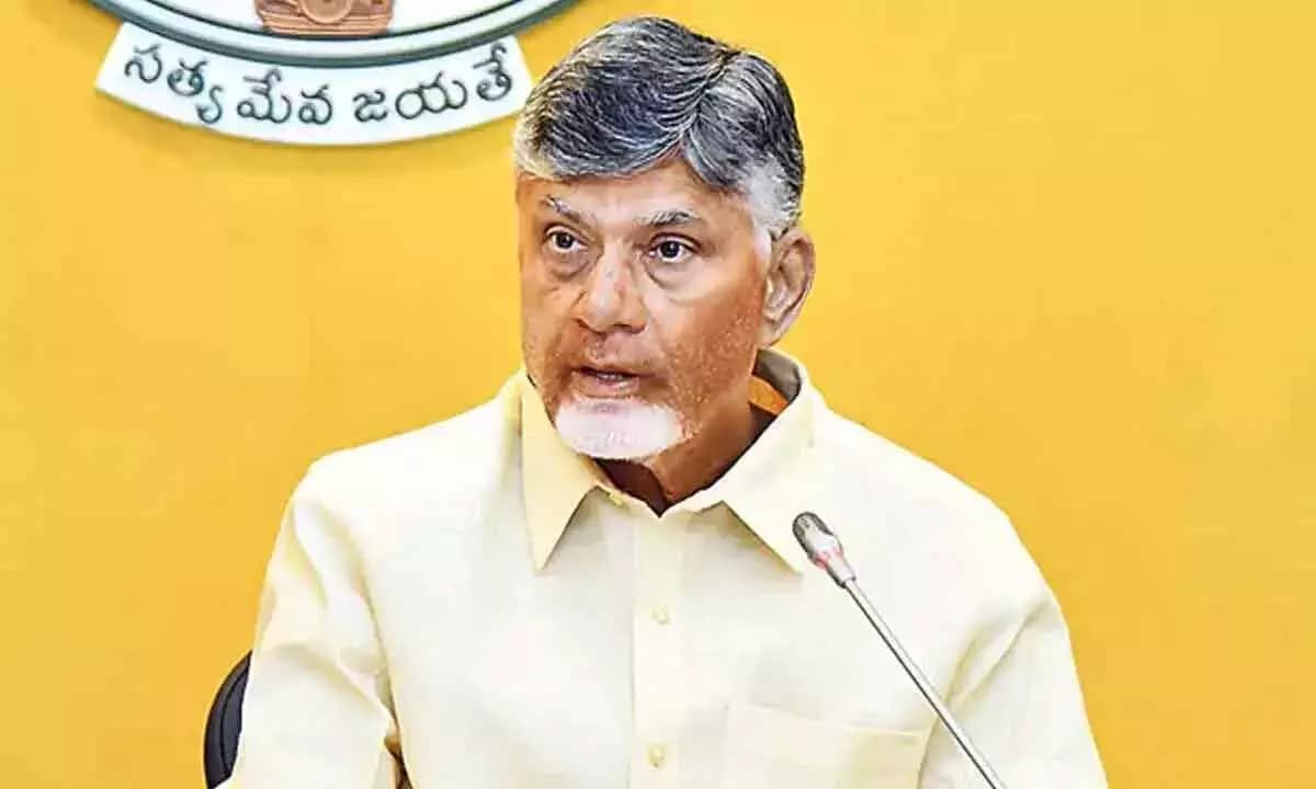 ఐక్యంగా, బలంగా మరో 15 ఏళ్లు కూటమి కొనసాగాలి- ఎన్‌డీఏ  మీటింగ్‌లో సీఎం చంద్రబాబు