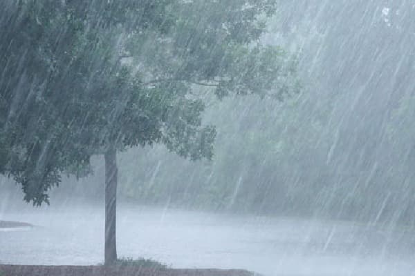 ఉత్తర తెలంగాణలో అర్థరాత్రి కురిసిన భారీ వర్షం...