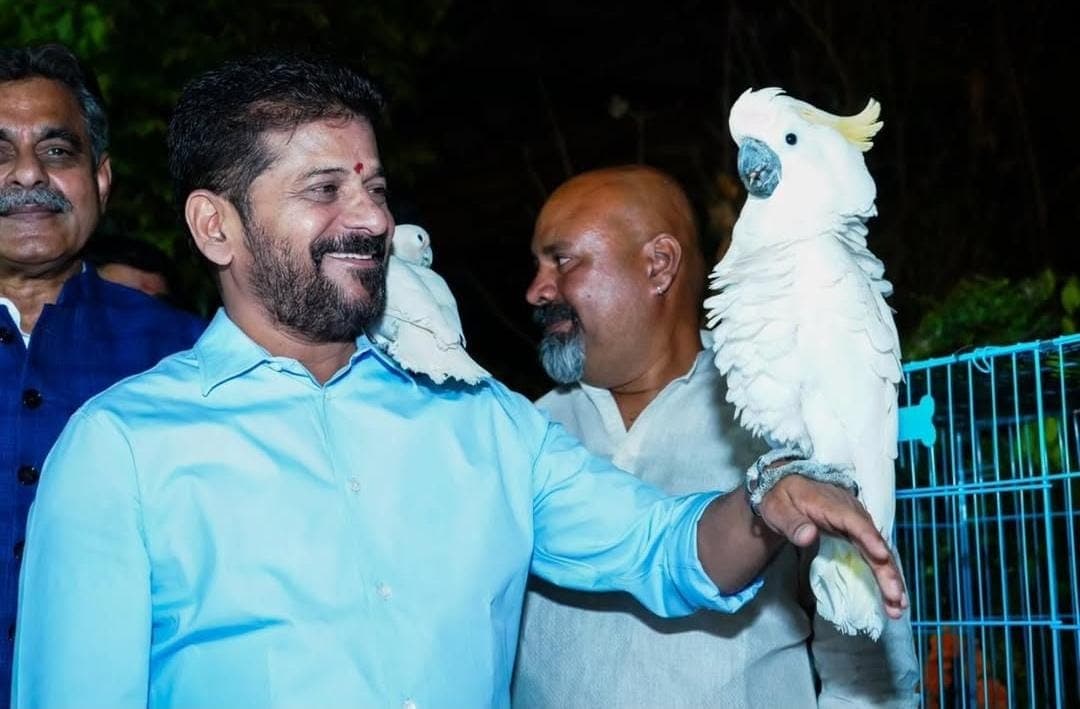 కొత్వాలగూడలో ఎకో హిల్ పార్క్ ను ప్రారంభించిన సీఎం రేవంత్ రెడ్డి 