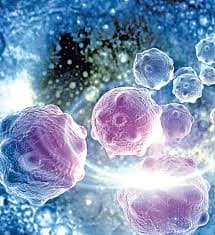 కణాల ప్రవర్తనపై సంచలన అధ్యయనం…